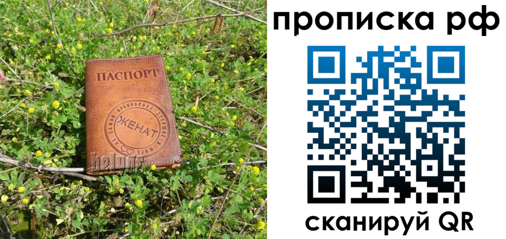 прописка паспорт в Волгодонске